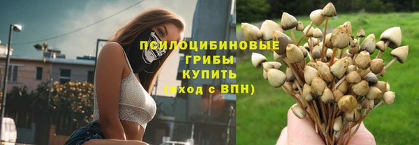 крисы Магас