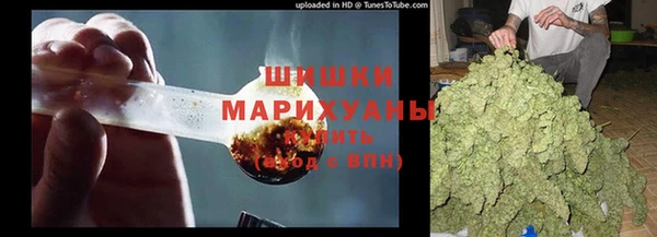 крисы Магас