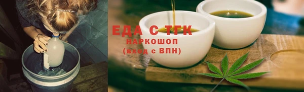 крисы Магас