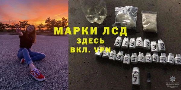крисы Магас