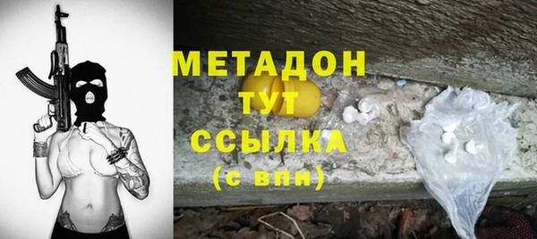 крисы Магас