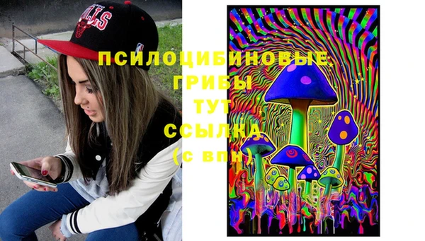 крисы Магас