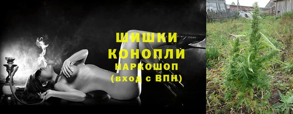 крисы Магас