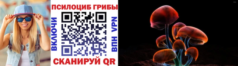 Купить где Краснотурьинск Псилоцибиновые грибы мицелий