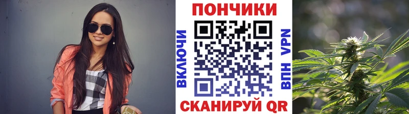 Купить где  Краснотурьинск  Каннабис Amnesia 